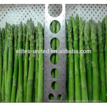 Cultivation iqf frozen vegetable asparagus